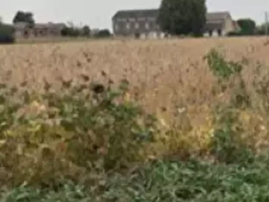 terreno agricolo in vendita a Bonavigo