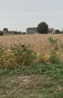 terreno agricolo in vendita a Bonavigo