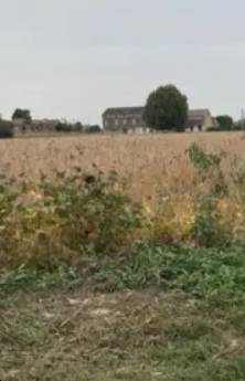terreno agricolo in vendita a Bonavigo