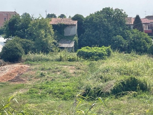 pentavano in vendita a Bonavigo