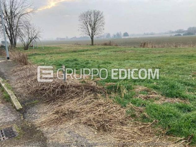 terreno agricolo in vendita a Bonavigo