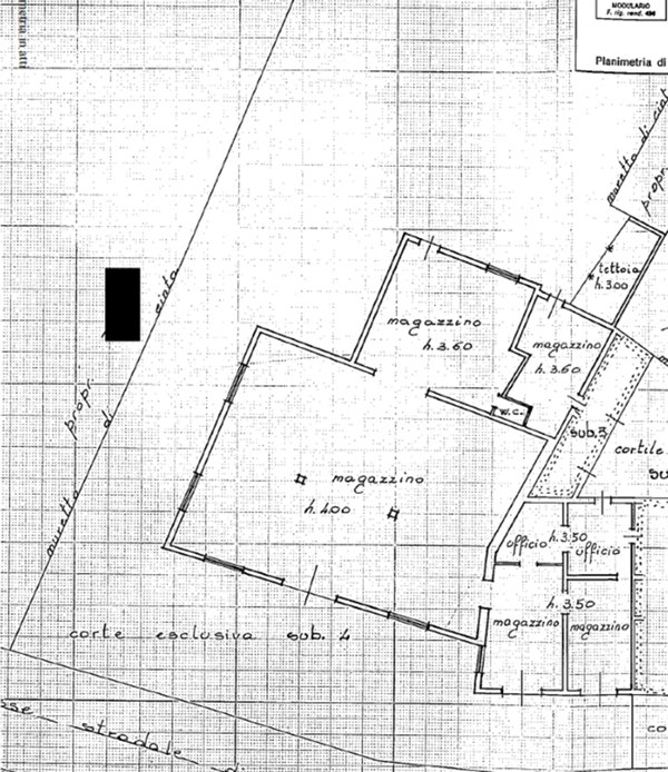 negozio in vendita a Bonavigo