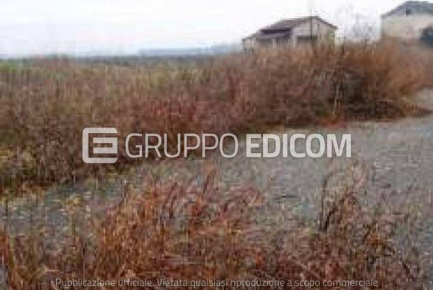 terreno agricolo in vendita a Bonavigo in zona Orti