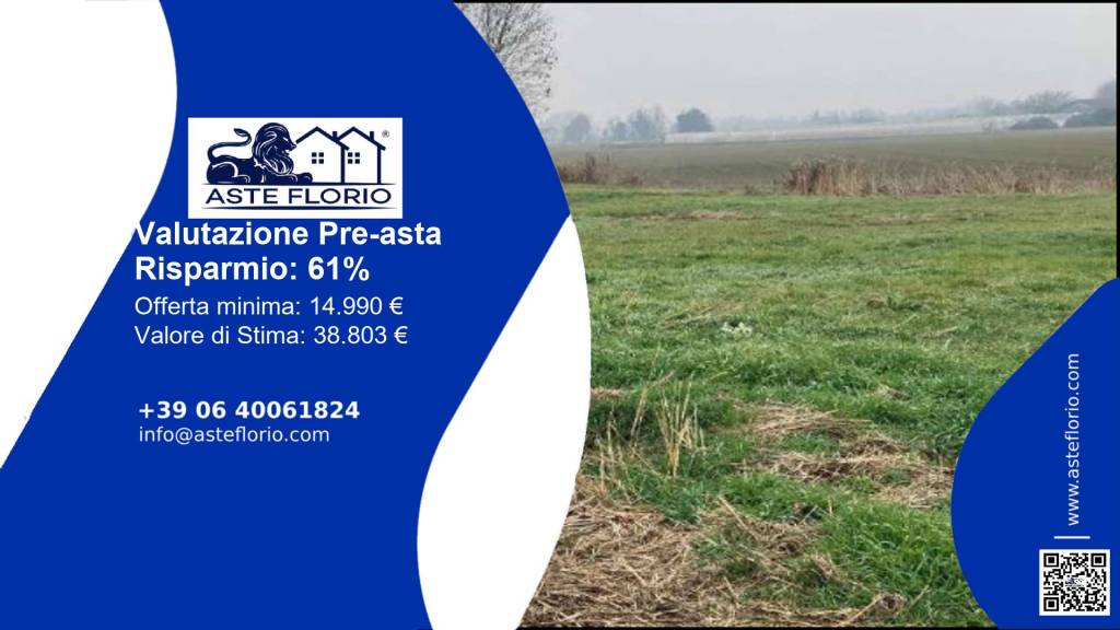 terreno agricolo in vendita a Bonavigo