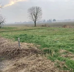 terreno agricolo in vendita a Bonavigo