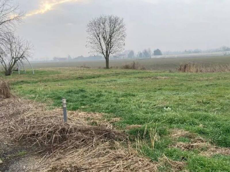 terreno edificabile in vendita a Bonavigo