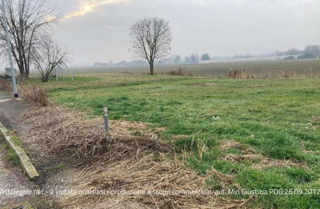 terreno agricolo in vendita a Bonavigo