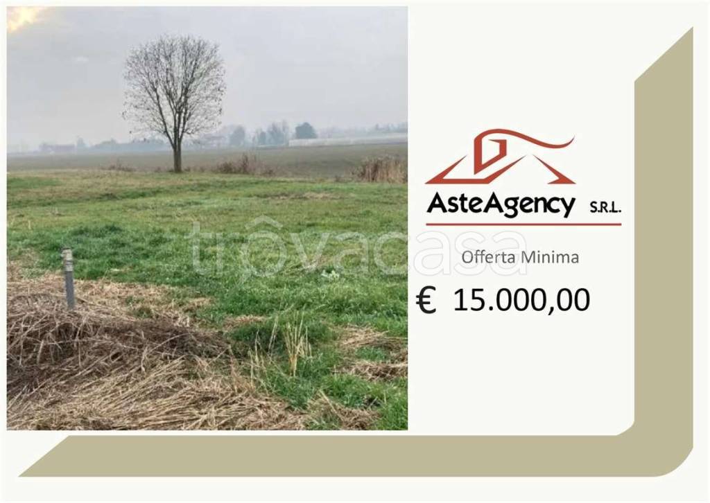 terreno agricolo in vendita a Bonavigo