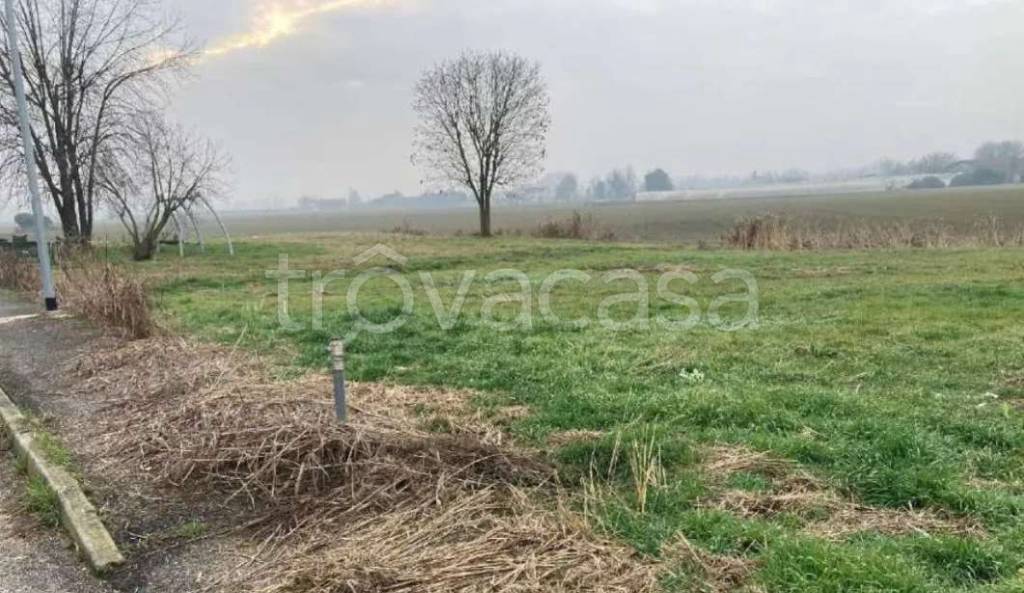 appartamento in vendita a Bonavigo