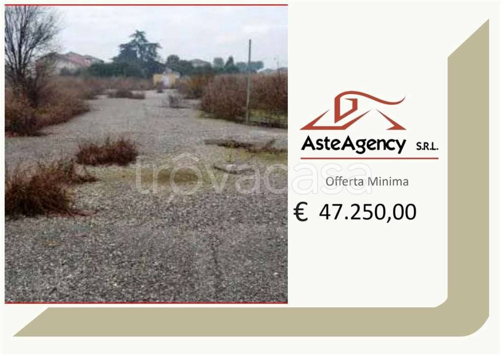 terreno agricolo in vendita a Bonavigo in zona Orti