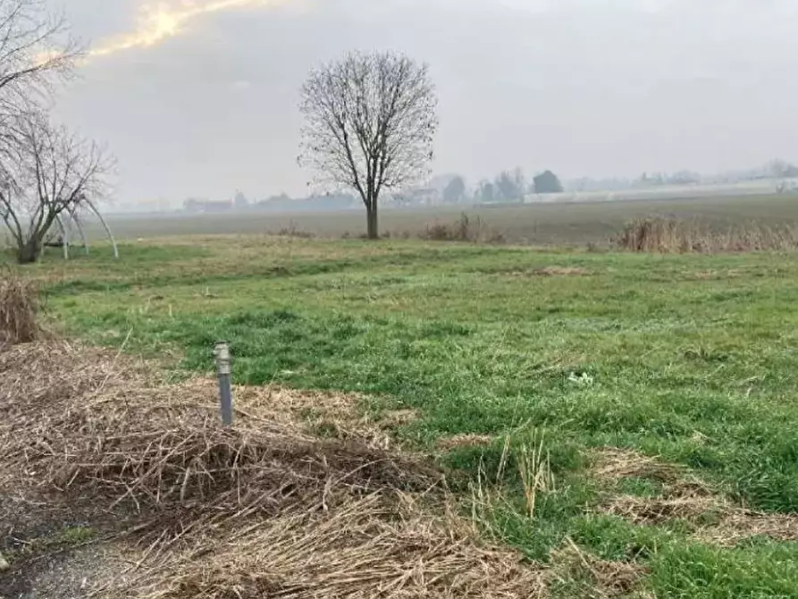 terreno edificabile in vendita a Bonavigo