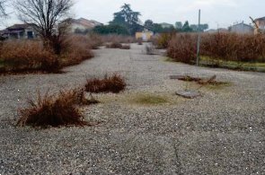 terreno edificabile in vendita a Bonavigo in zona Orti