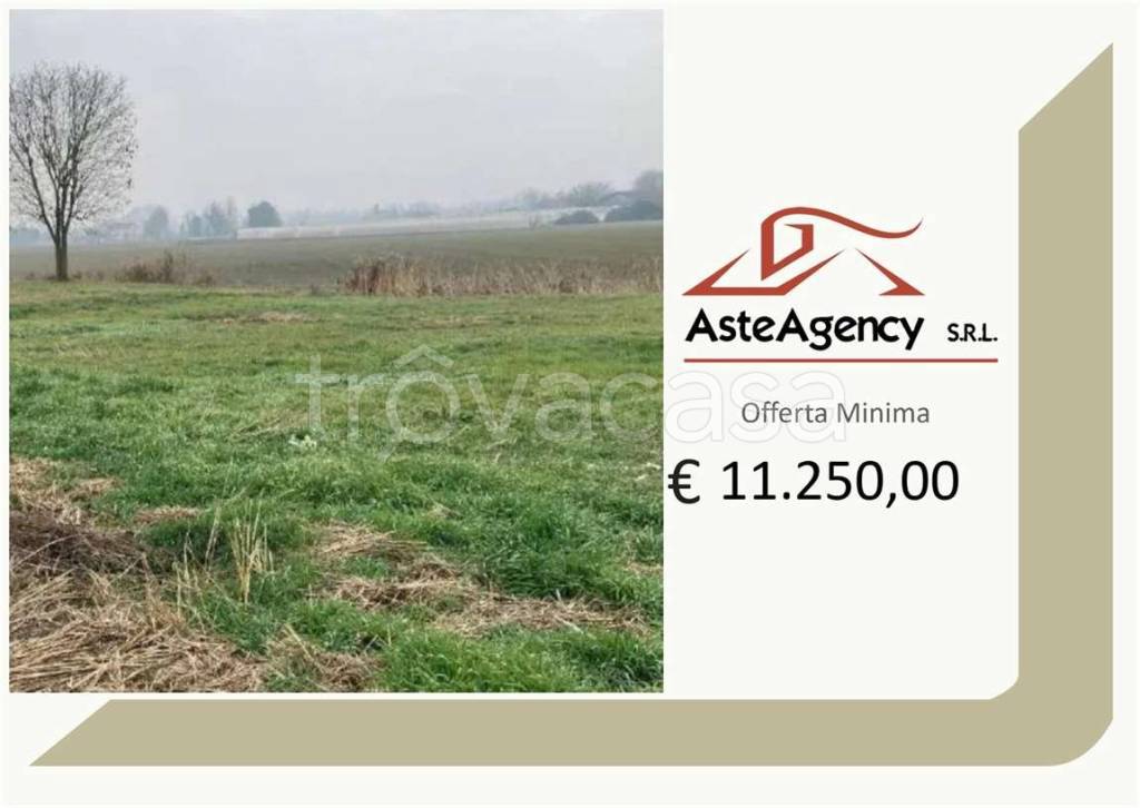 terreno agricolo in vendita a Bonavigo