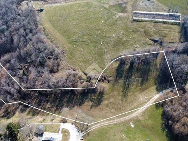 terreno agricolo in vendita a Bosco Chiesanuova