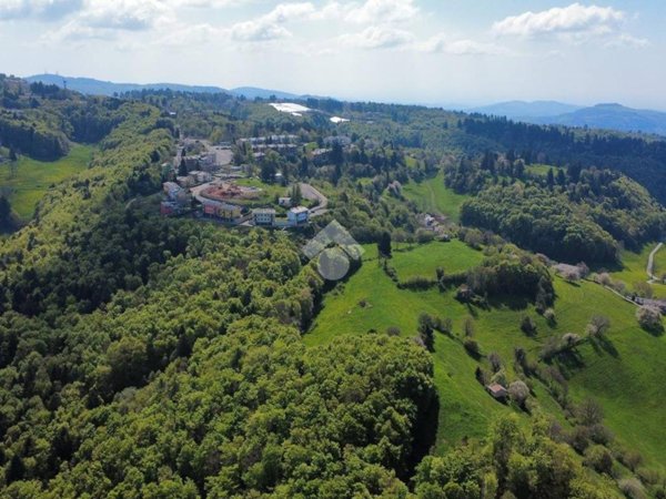 terreno agricolo in vendita a Bosco Chiesanuova
