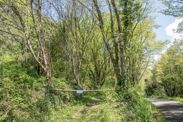 casa indipendente in vendita a Bosco Chiesanuova in zona Corbiolo