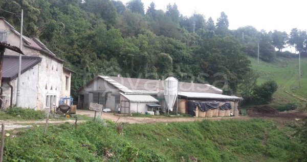 azienda agricola in vendita a Bosco Chiesanuova