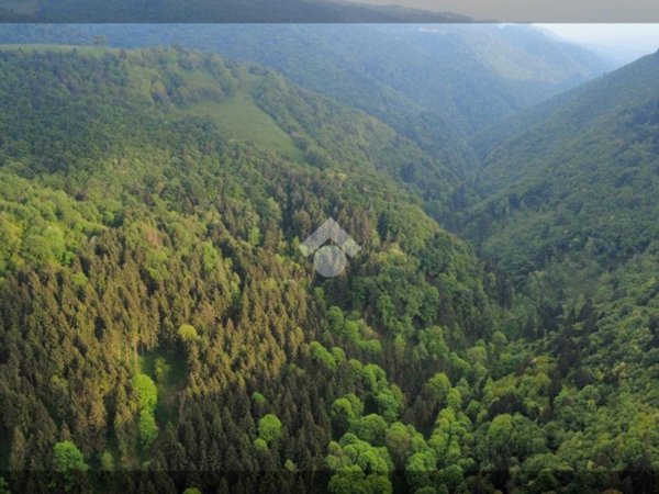 casa indipendente in vendita a Bosco Chiesanuova