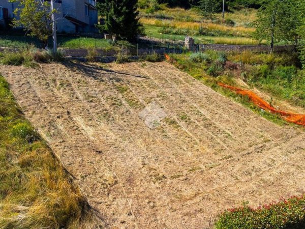 terreno agricolo in vendita a Bosco Chiesanuova