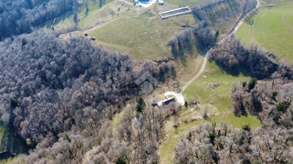 terreno agricolo in vendita a Bosco Chiesanuova