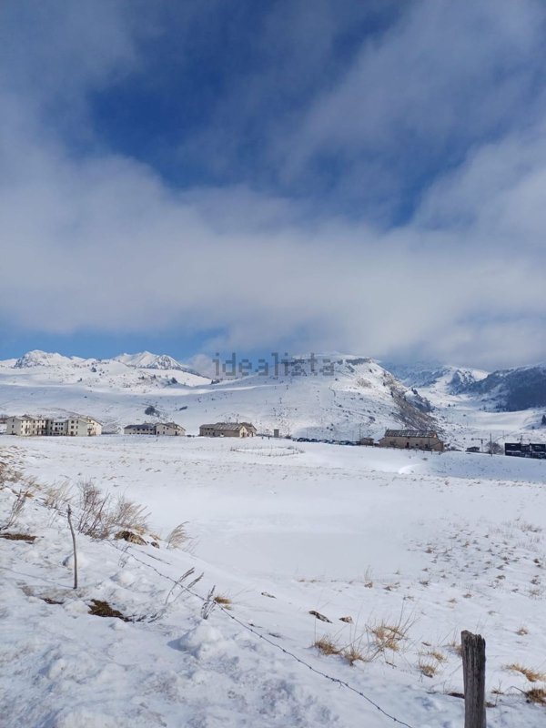 immagine annuncio 0 di 1