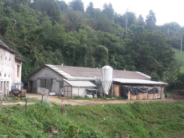 terreno agricolo in vendita a Bosco Chiesanuova