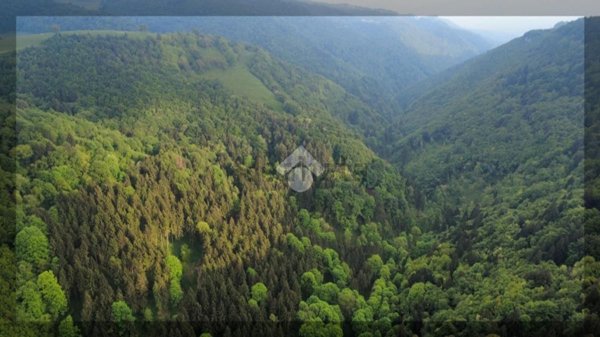 appartamento in vendita a Bosco Chiesanuova