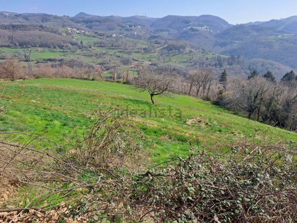 terreno agricolo in vendita a Bosco Chiesanuova in zona Corbiolo