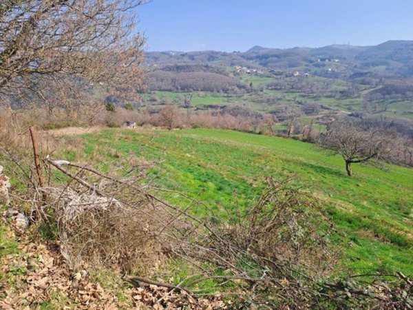 terreno agricolo in vendita a Bosco Chiesanuova in zona Corbiolo