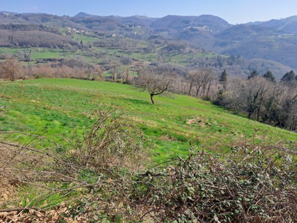 terreno agricolo in vendita a Bosco Chiesanuova in zona Corbiolo