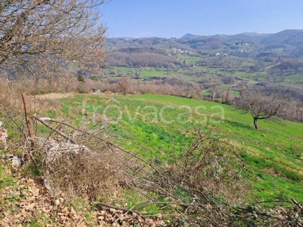 terreno agricolo in vendita a Bosco Chiesanuova in zona Corbiolo
