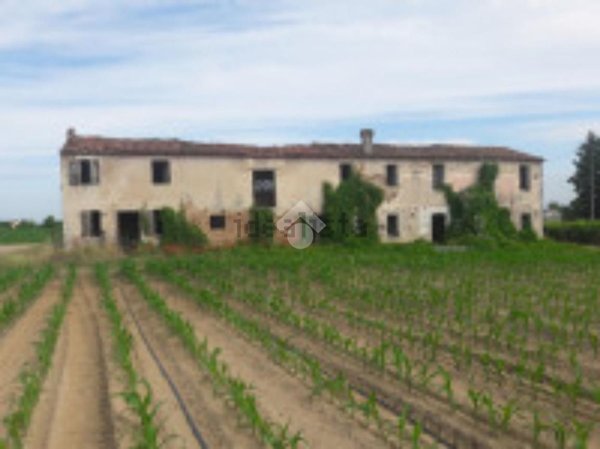 casa indipendente in vendita a Bovolone