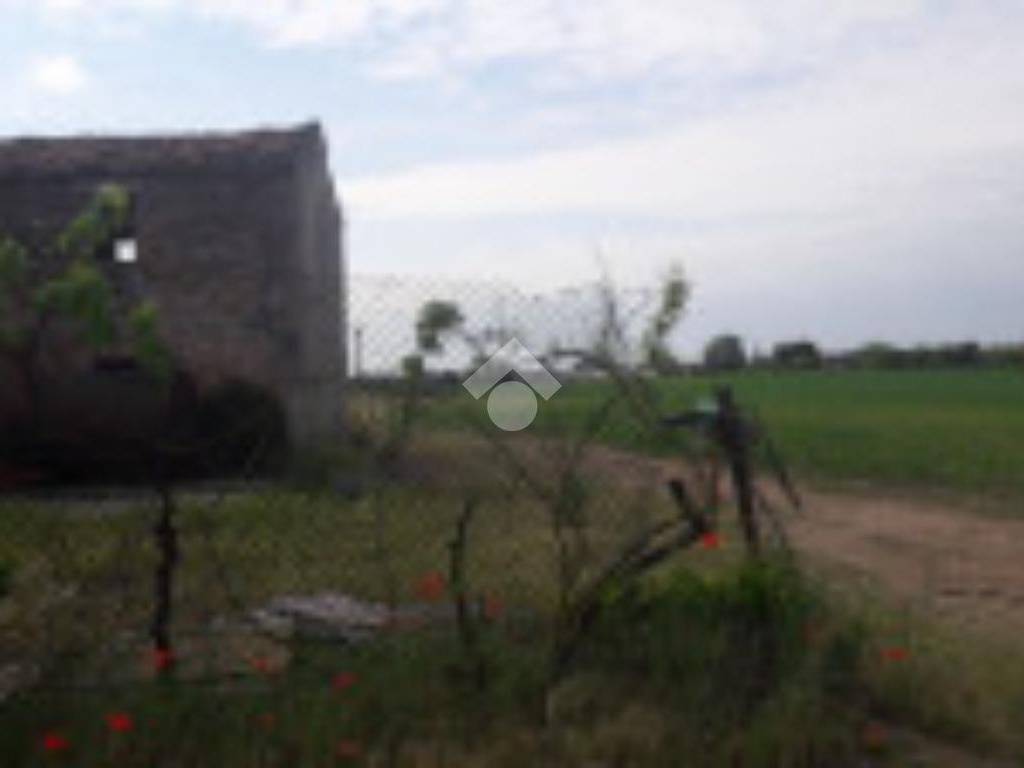 casa indipendente in vendita a Bovolone