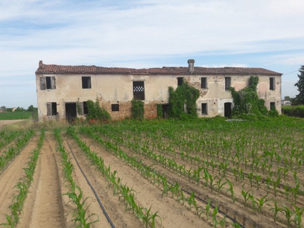 casa indipendente in vendita a Bovolone