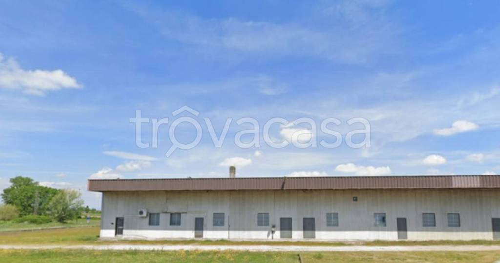 negozio in vendita a Bovolone