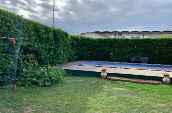 casa indipendente in vendita a Bovolone