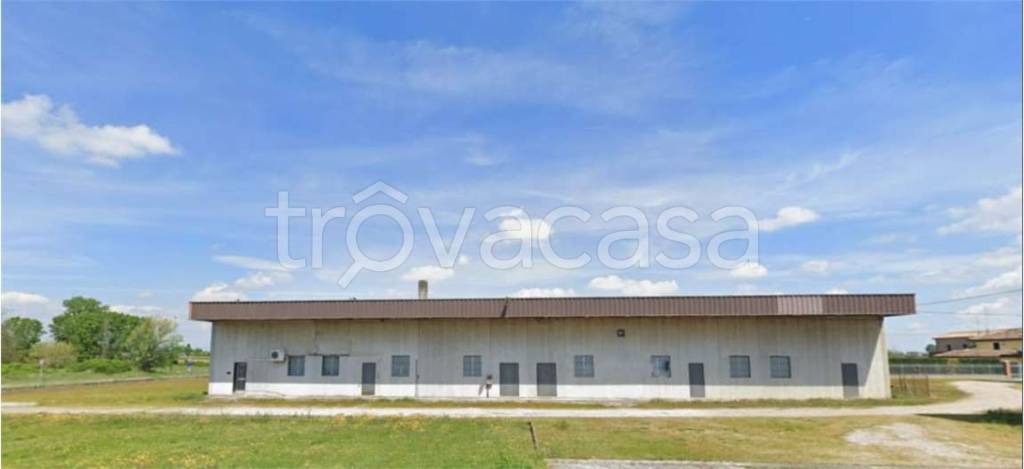 negozio in vendita a Bovolone