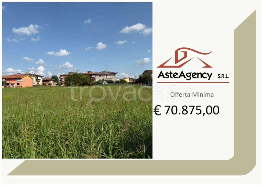 terreno agricolo in vendita a Bovolone
