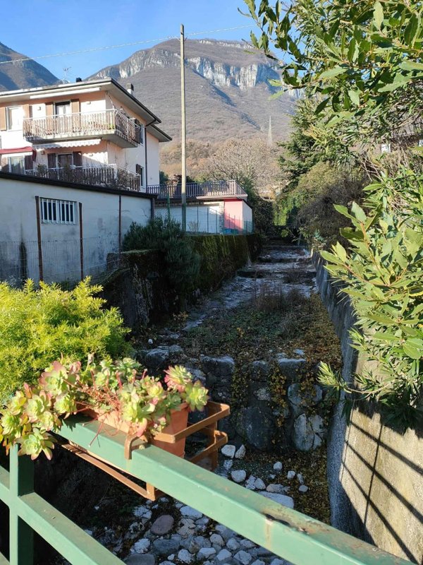 pentavano in vendita a Brentino Belluno in zona Belluno Veronese