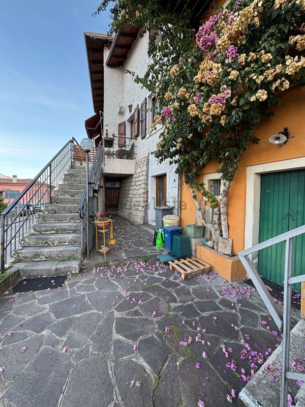esavano in vendita a Brenzone sul Garda in zona Magugnano