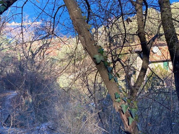 terreno edificabile in vendita a Brenzone sul Garda