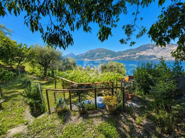 terreno agricolo in vendita a Brenzone sul Garda in zona Zignago