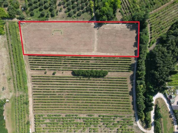 terreno agricolo in vendita a Bussolengo