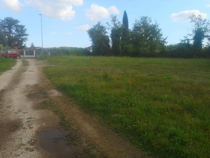 terreno agricolo in vendita a Bussolengo in zona San Vito