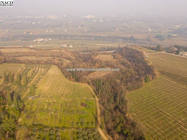 terreno agricolo in vendita a Bussolengo