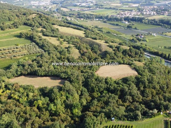 terreno agricolo in vendita a Bussolengo