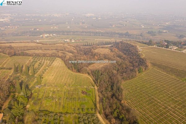 terreno agricolo in vendita a Bussolengo