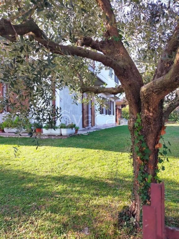 casa indipendente in vendita a Bussolengo