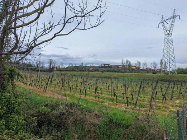 terreno agricolo in vendita a Bussolengo