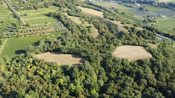 terreno agricolo in vendita a Bussolengo